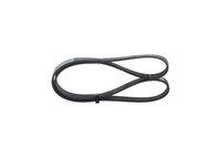 NEU - Bosch 1987946069 Keilrippenriemen FüR Alfa Romeo Passend FüR Fiat Mazda