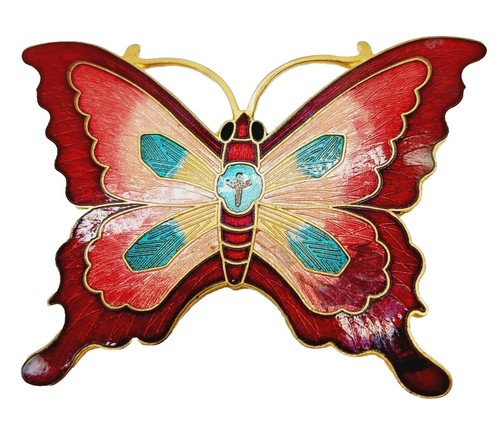Salena display picture 2