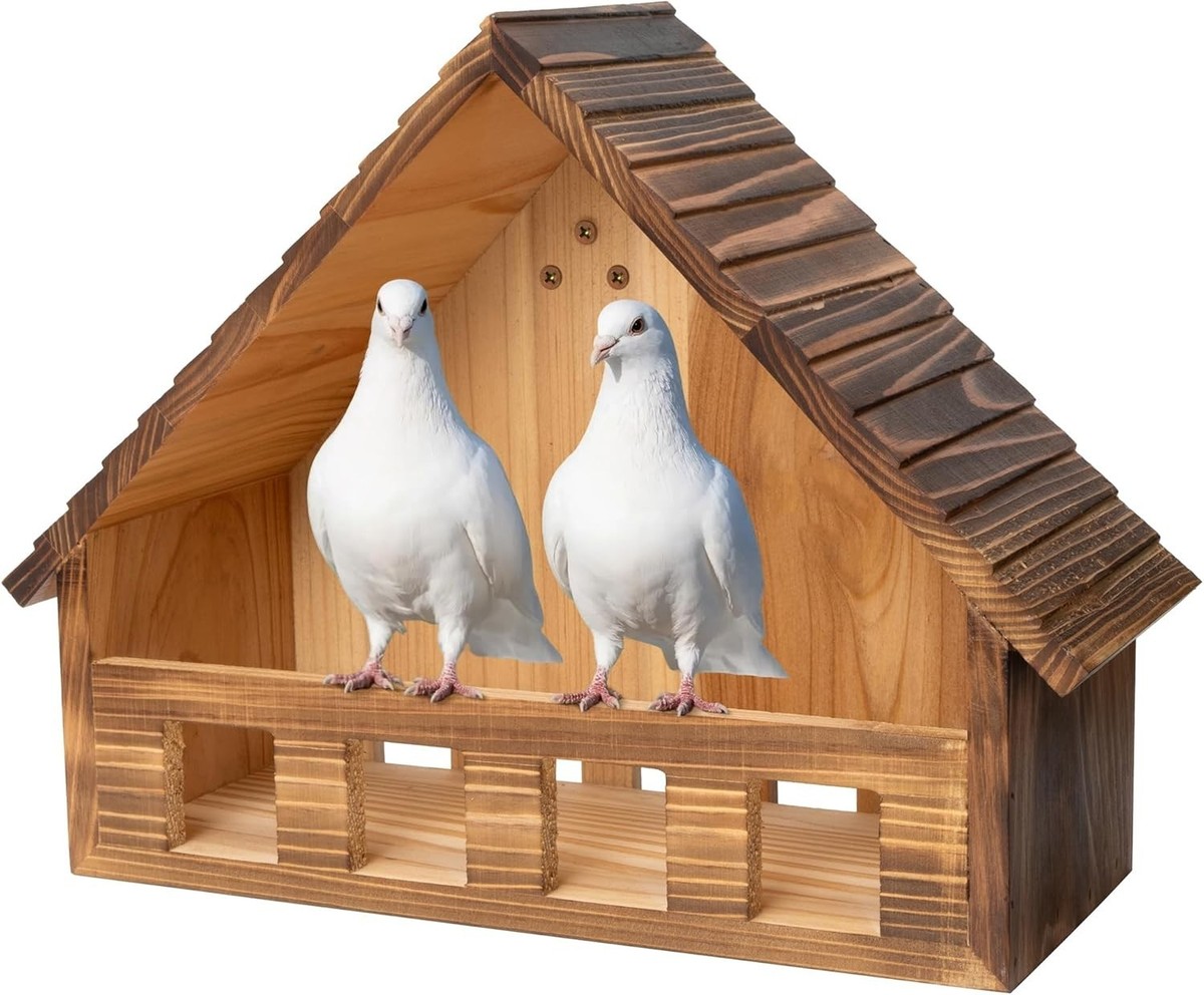 scope別注 evening bird イヴニングバード 箱・布付き 販売終了】Birds