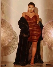 Pretty Little Thing Ruched Brown Underwire Bodycon Dress NWT Mesh Size 16