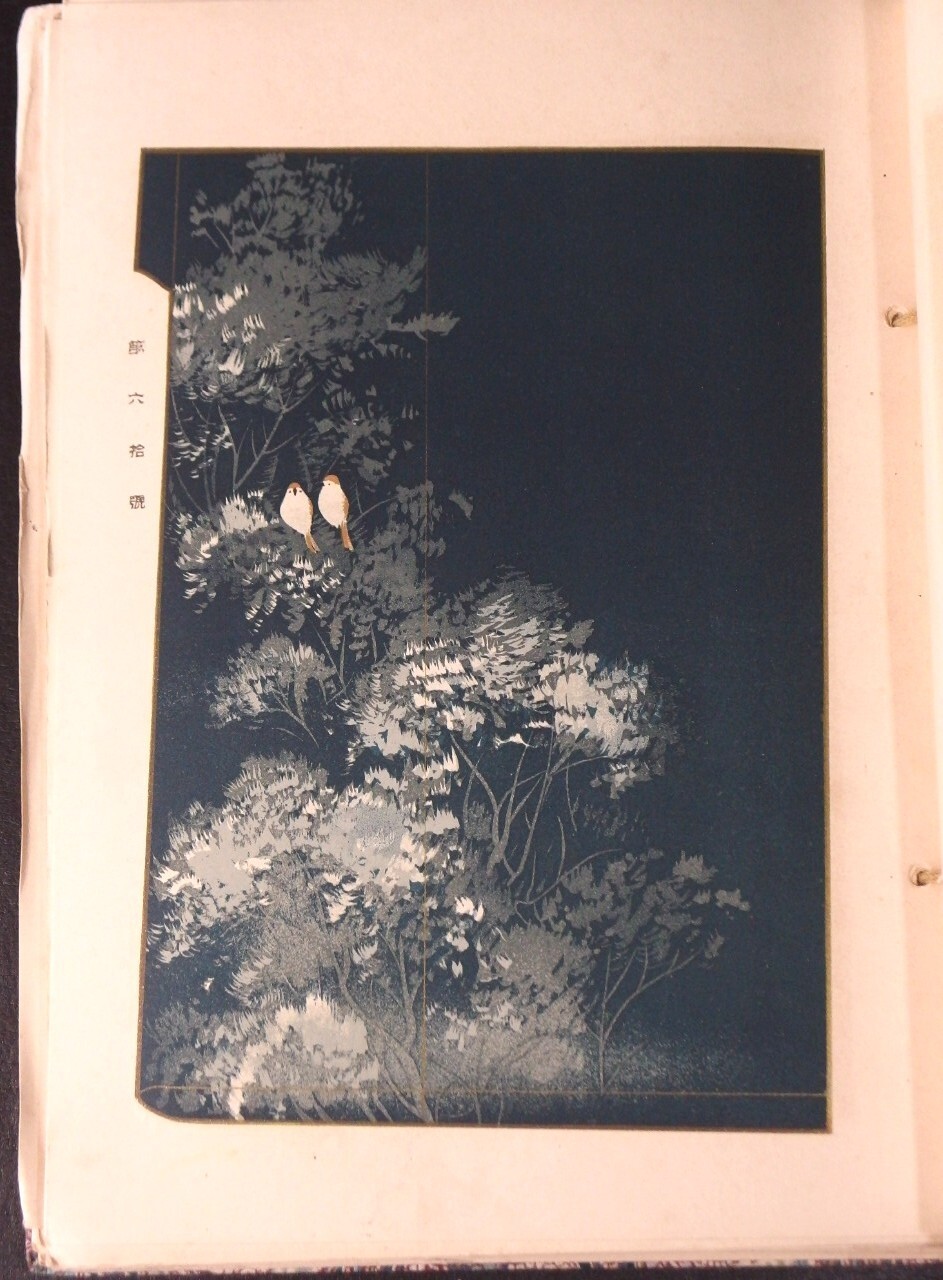 Picture 10 of 24