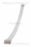 Triscan 8765 10004 Federnpaket For Iveco