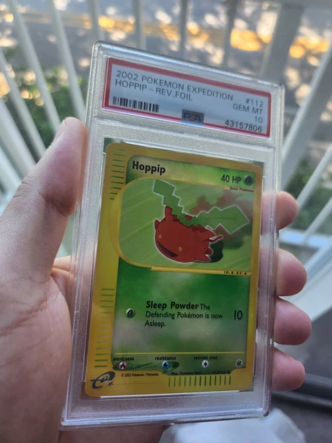 Hoppip