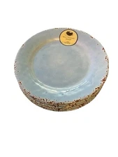 New WELL DRESSED HOME Set Of 5 Blue & Brown Crackle MELAMINE 11” Dinner PLATES