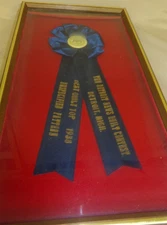 The Detriot News 1938 Quilt Contest Unspecified Pattern Award Ribbon Framed