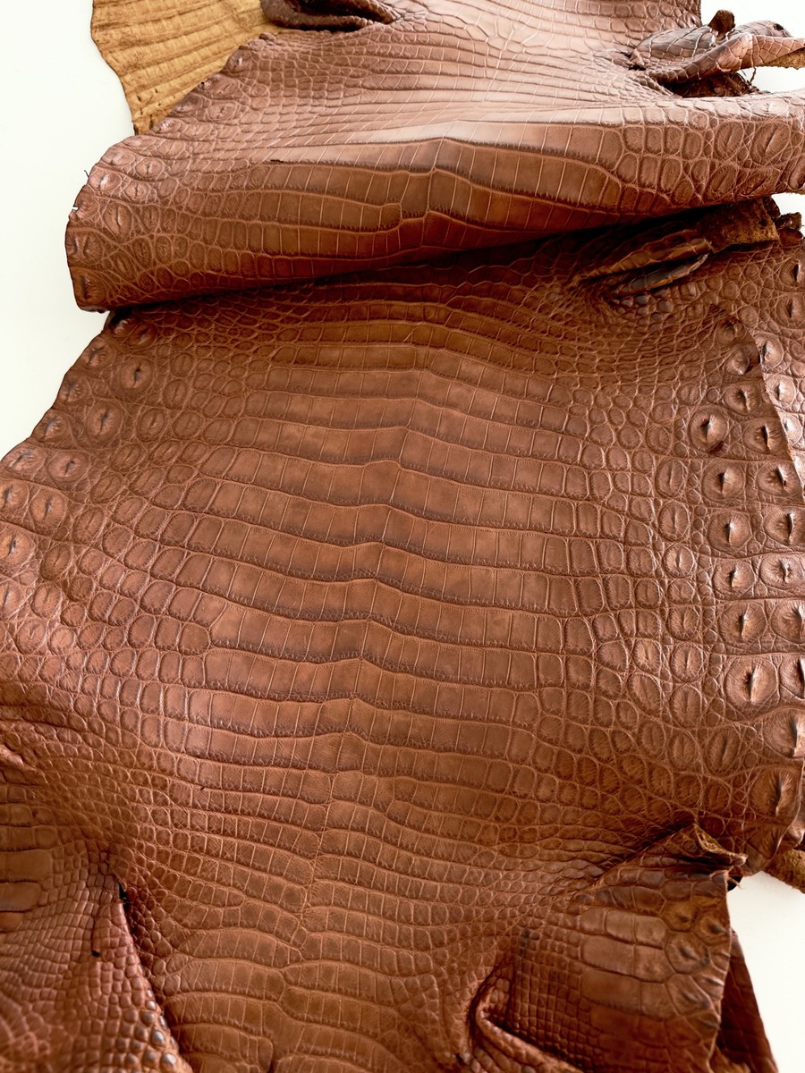 Crocodile Leather Cognac Rustic Color (100% Genuine skin) | eBay