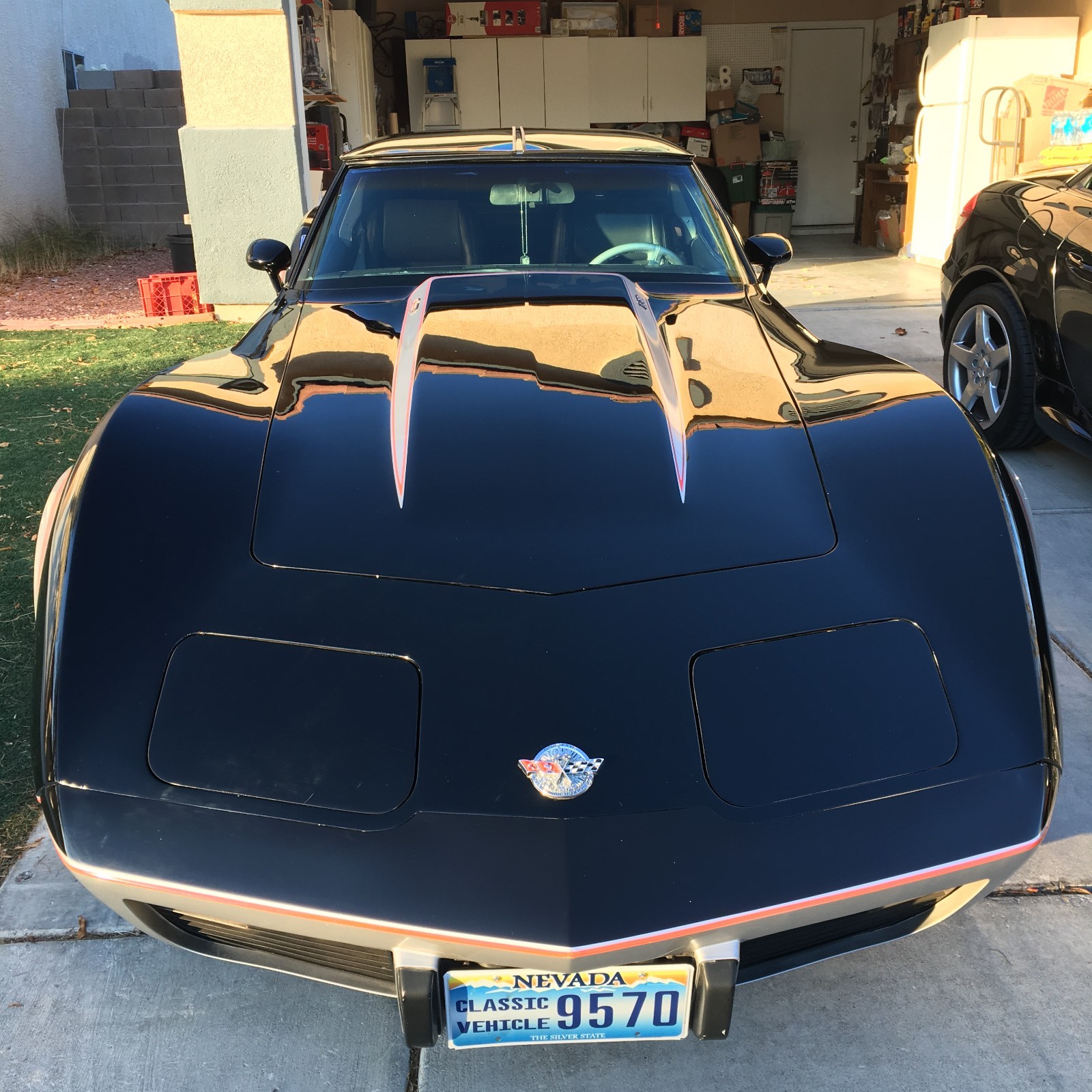 1978 black/silver Chevrolet Corvette   | C3 Corvette Photo 4