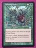 Magic The Gathering PROPHECY SPITTING SPIDER green card MTG