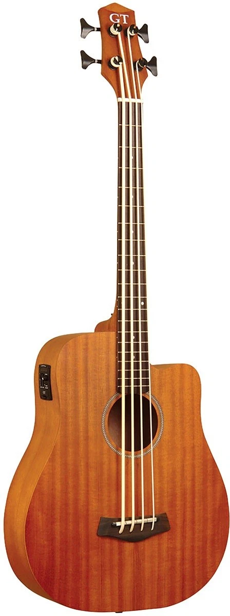 Gold tone m bass outlet