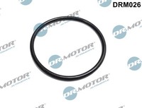 Dr.Motor Automotive DRM026 Dichtung, Drosselklappenstutzen For Dacia Renault