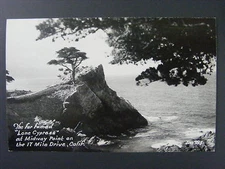 Lone Cypress Midway Point California CA Real Photo Postcard RPPC 1930-50