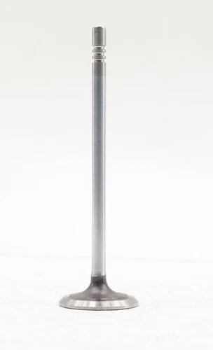 NEW OEM Ford Engine Intake Valve BC3Z-6507-B Ford F-450 F-550 6.8L 2011-2019