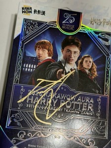 Sign Harry Potter | eBay
