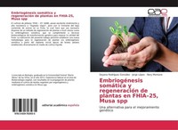 EmbriogéNesis SomáTica Y RegeneracióN De Plantas En FHIA-25, Musa Spp Dayana Rod