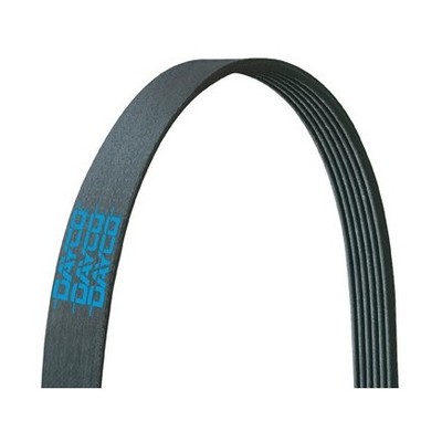 Dayco 5050551 Poly Rib Belt, Dayco