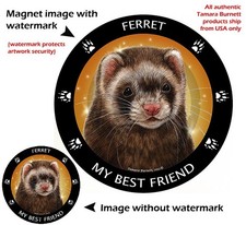 Ferret My Best Friend Dog Car Magnet