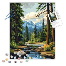 Olympic Forest Landscape Paint by Numbers, National Park Scenery Paint by Num...