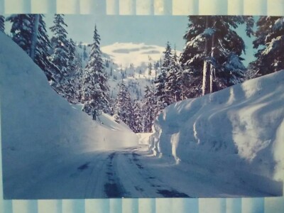 PHOTO POST CARD ''MILE HIGH SNOWBANKS'' CASCADE MOUNTAINS WASHINGTON