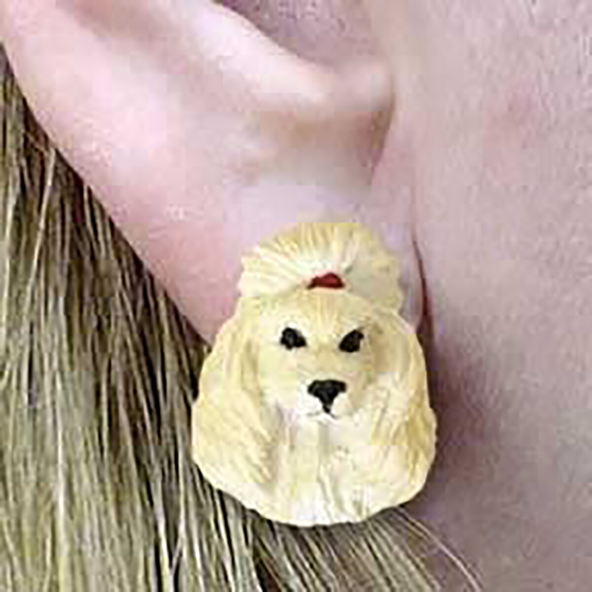 Разговорные понятия Пудель Абрикосовые серьги Сообщение