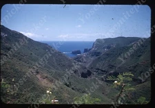 SL97 Original Slide 1950’s Red Kodachrome Maui Mountain valley view  476a