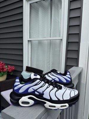 Size 11.5 - Nike Air Max Plus Persian Violet