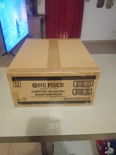 case one piece op 13 english