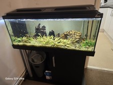 DIVERSA AQUARIUM with STAND / CABINET and LED LID Fish Tank COMFORT LINE - WHITE