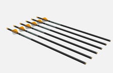 Ravin R500 Series .003 Arrows Crossbow 20in 400gr 6-Pack R120