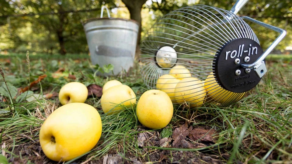 Roll in Fall-Obstsammler Apfel sammler ohne Bücken auflesen Fallobst Tennisbälle - Bild 3 von 4