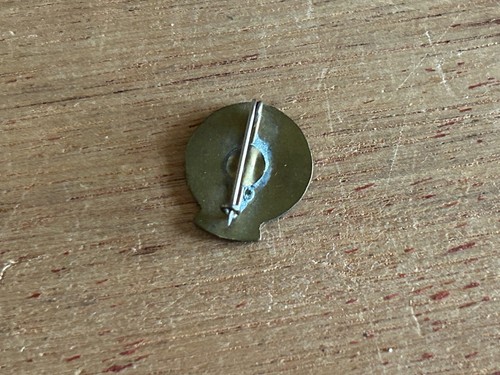 American College Bogota Lapel Pin Colegio Americano Bogota 1869 Columbia Vintage - Picture 19 of 21