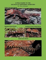 Ted Johansen | A Field Guide To The Geckos Of Northern Territory | Taschenbuch