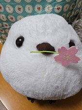Shimaenaga Plush Sakura Shima-chan 27x32cm/10.62x12.59" Shimaenaga Shimaenaga