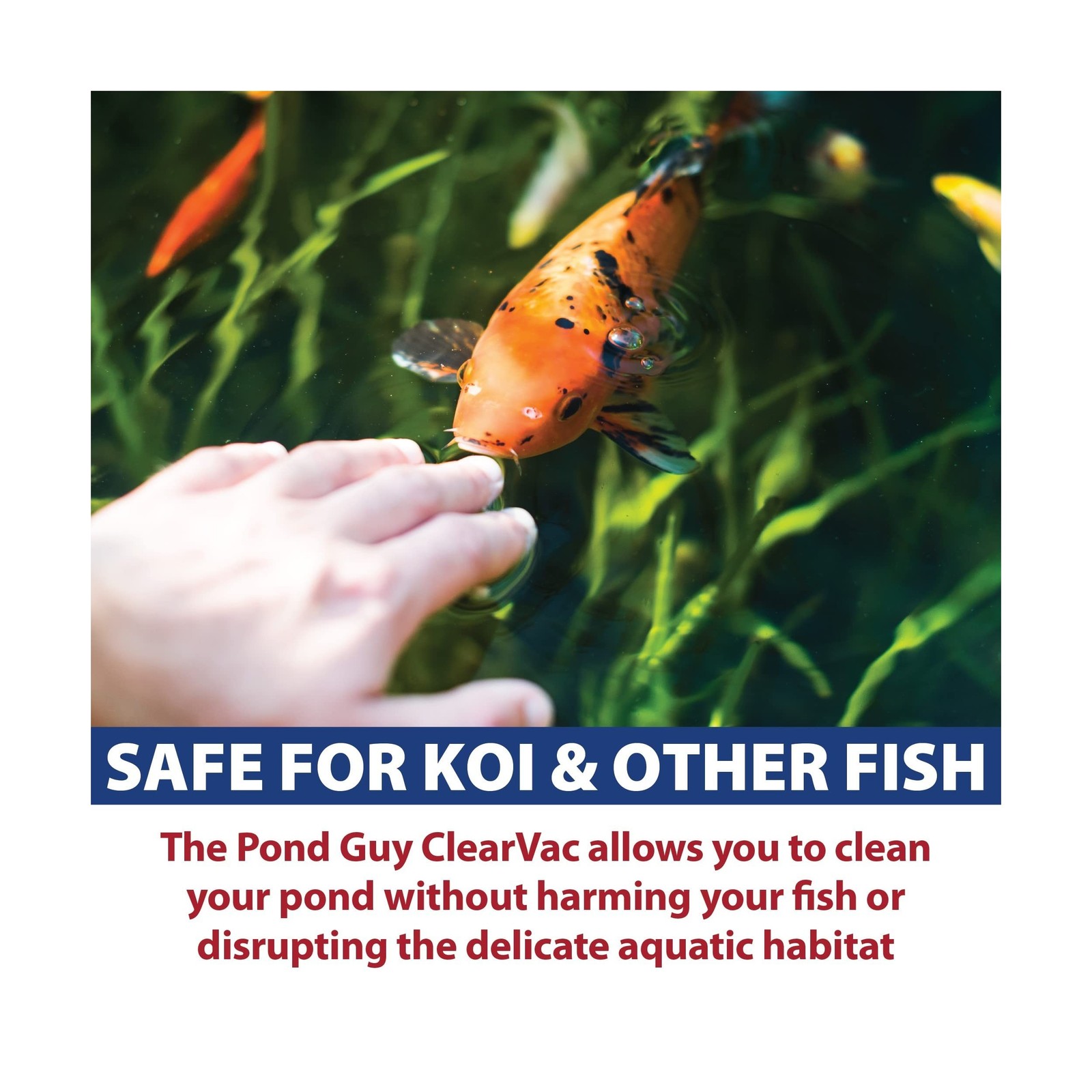 The Pond Guy ClearVac Pond Vacuum, Powerful Motor Quickly Removes Sludge & De...