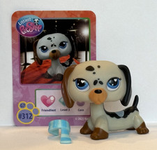 DACHSHUND DOG  G7 312 w/ Accessory - Authentic Littlest Pet Shop - Hasbro LPS