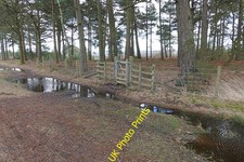 Photo 6x4 Ash Range stock control fence Ash/SU8951 A gate in the stock c c2016