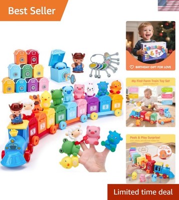 Toddler Learning Toys for 2 3  Old-Counting Matching & Sorting Activity Monte...