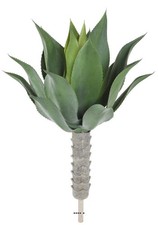 Agave, Aloé vera, artificielle en piquet H 75 cm Vert - dimhaut: H 75 cm - coul