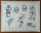 Picture 18 of 19