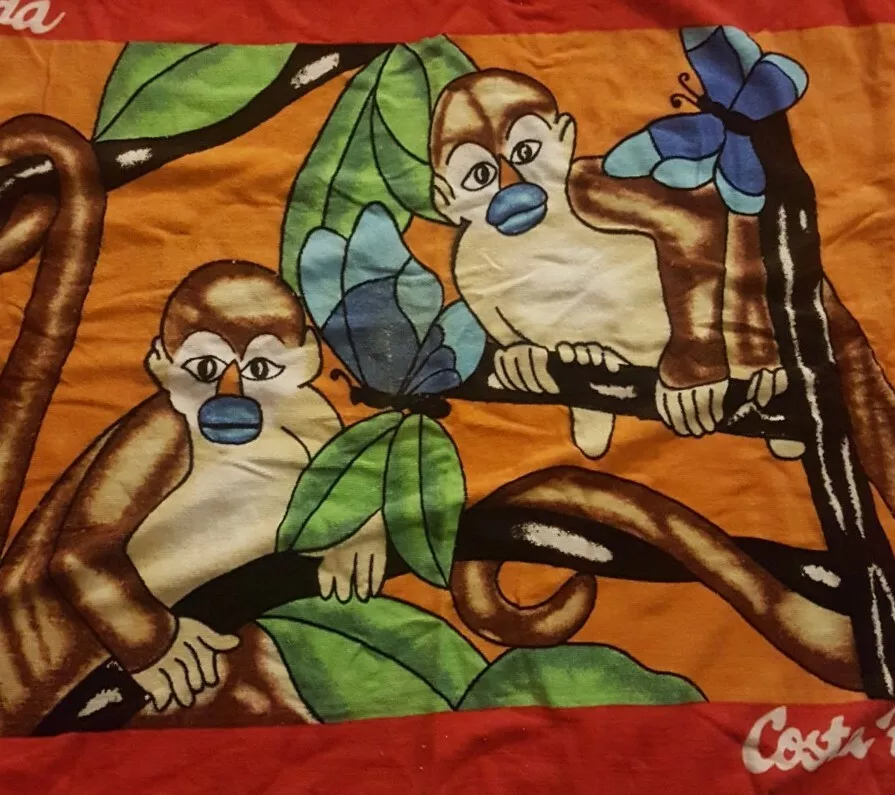 Costa Rica Pura Vida Mono Capuchino Cara Blanca Playa Baño Piscina Toalla 54 x 26 Foto 2 de 3