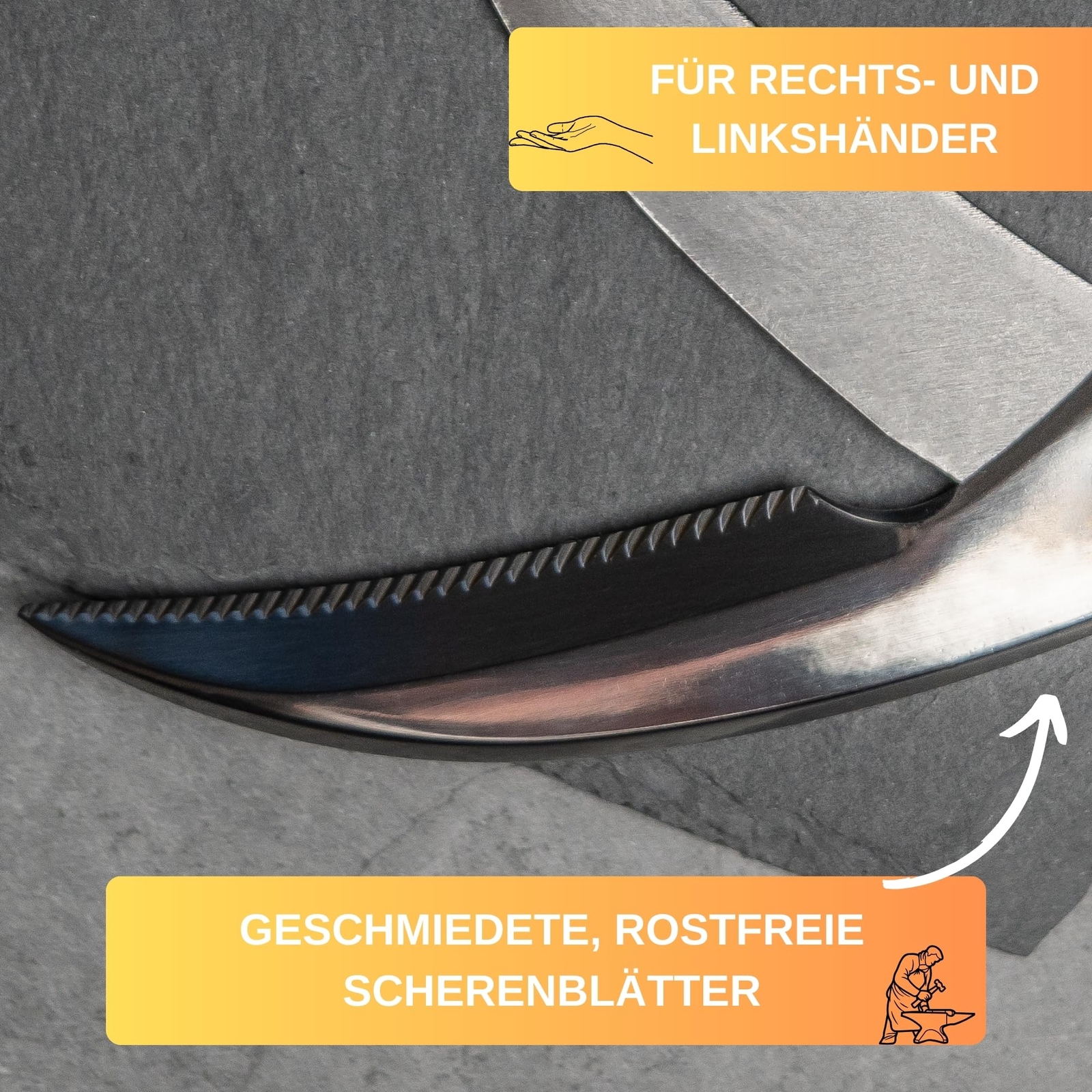 Bild 3 von 7