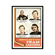 Bill Goldsworthy Dennis Hextall Danny Grant 1974 Topps #112 Hockey Cards EX