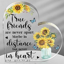 Good Friends Gift for Women, Christian Thank You Gifts for Sunflower Butterfly