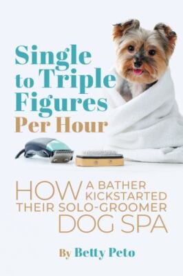 Single To Triple Figures Per Hour by Betty Peto, Peto, Brand New, Free shippi...