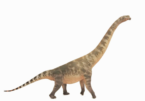 HAOLONGGOOD 1/35 Scale Brachiosaurus Model Dinosaur Animal Collection Decor Gift - Bild 26 von 31