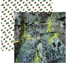 Woodland - Mossy Rock, scrapbook paper, DS, Reminisce SCW004