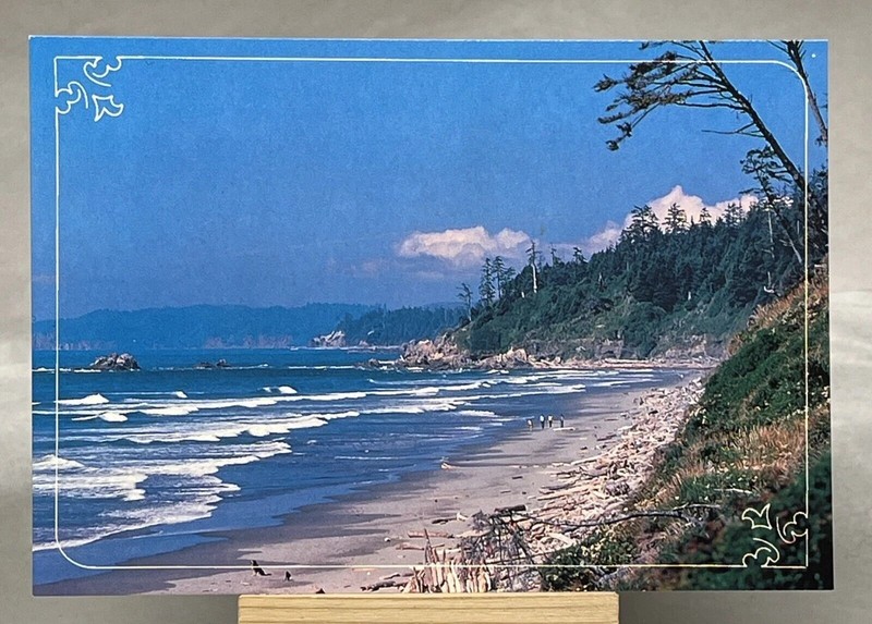 Washington Pacific Ocean Beach Postcard Unposted