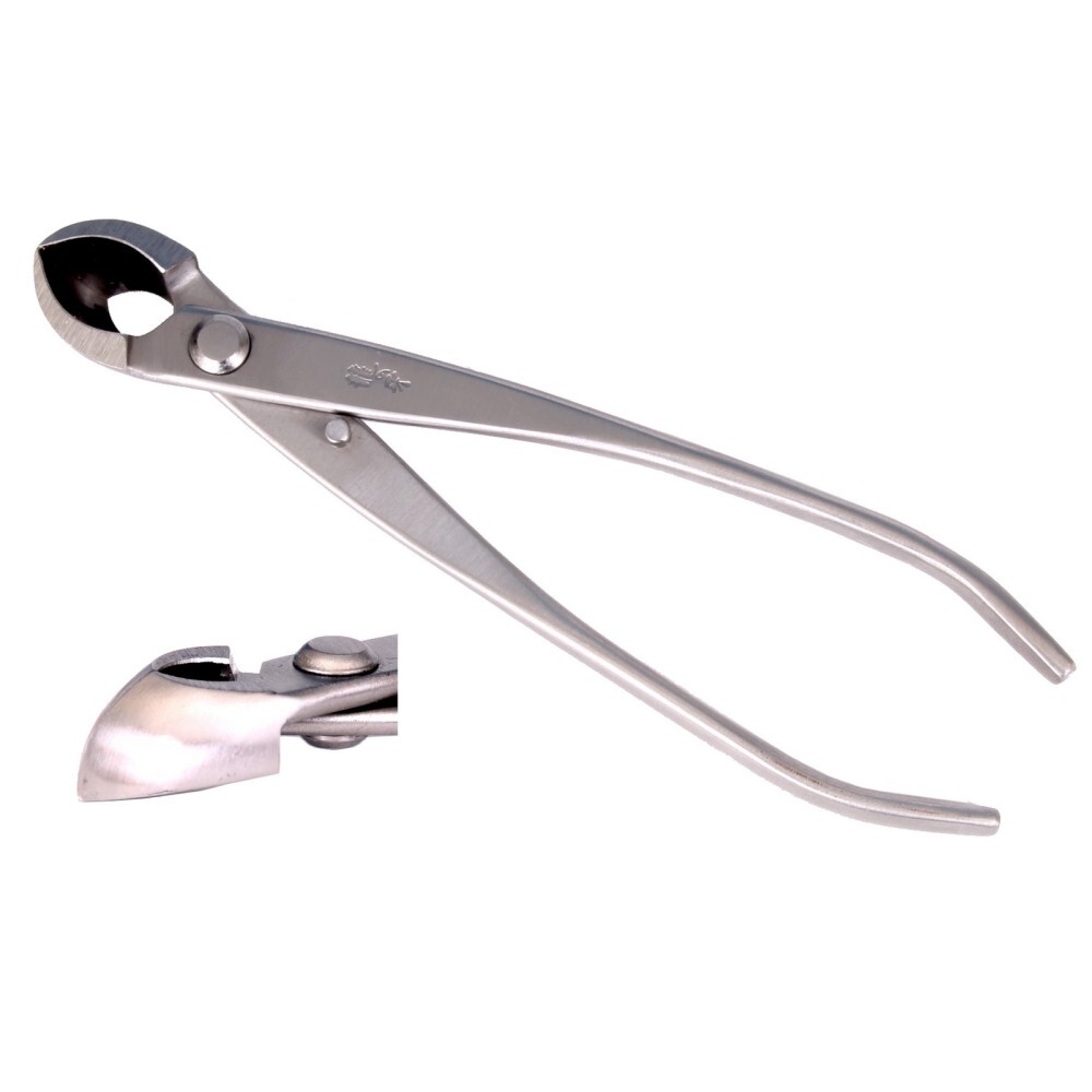 Bonsai Konkavzange gerundet Ryuga 205 mm Edelstahl in Japanqualität