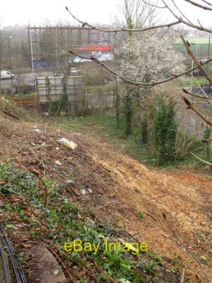 Foto 6x4 Eisenbahndamm nach Baumfällung Greenwich aus der c2013 gesehen