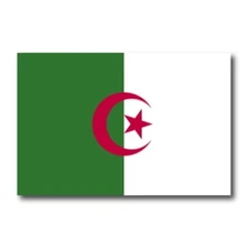 Algeria Flag Car Magnet Decal - 4 x 6 Heavy Duty for Car Truck SUV