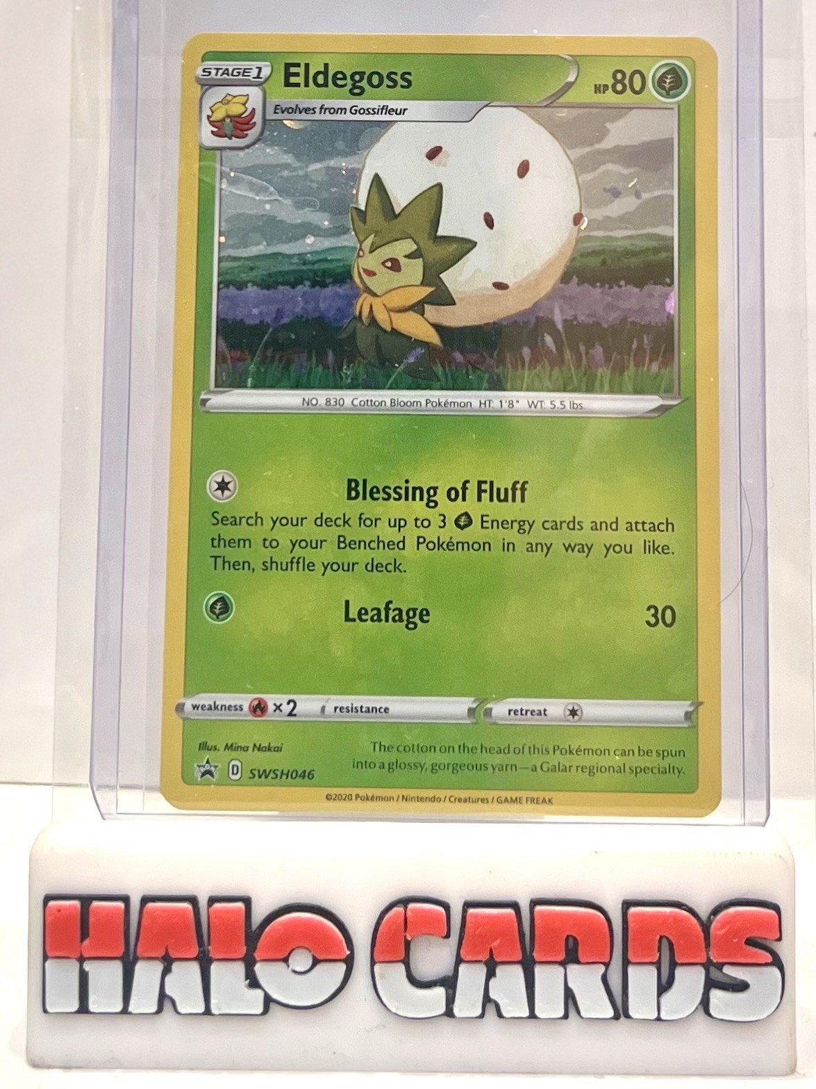 PACK FRESH Eldegoss SWSH046 Holo Black Star Champions Path Promo Pokemon MINT